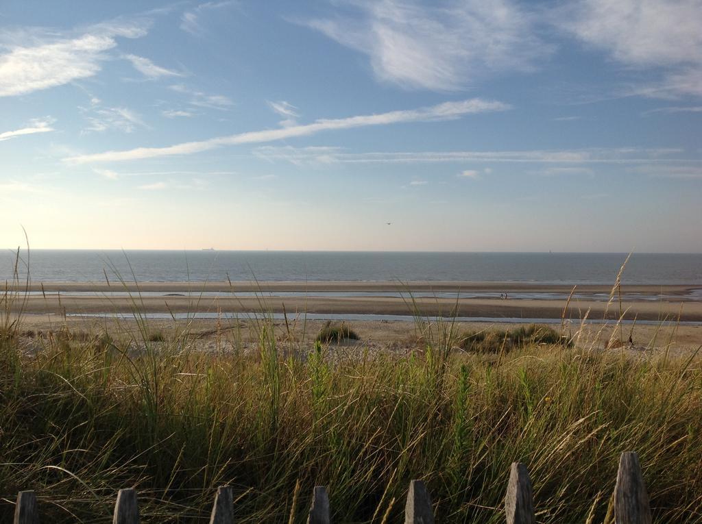 Kokkelikoo Bed and Breakfast Blankenberge Exteriör bild